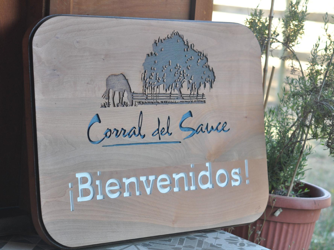 Corral del Sauce-维多利亚必去景点