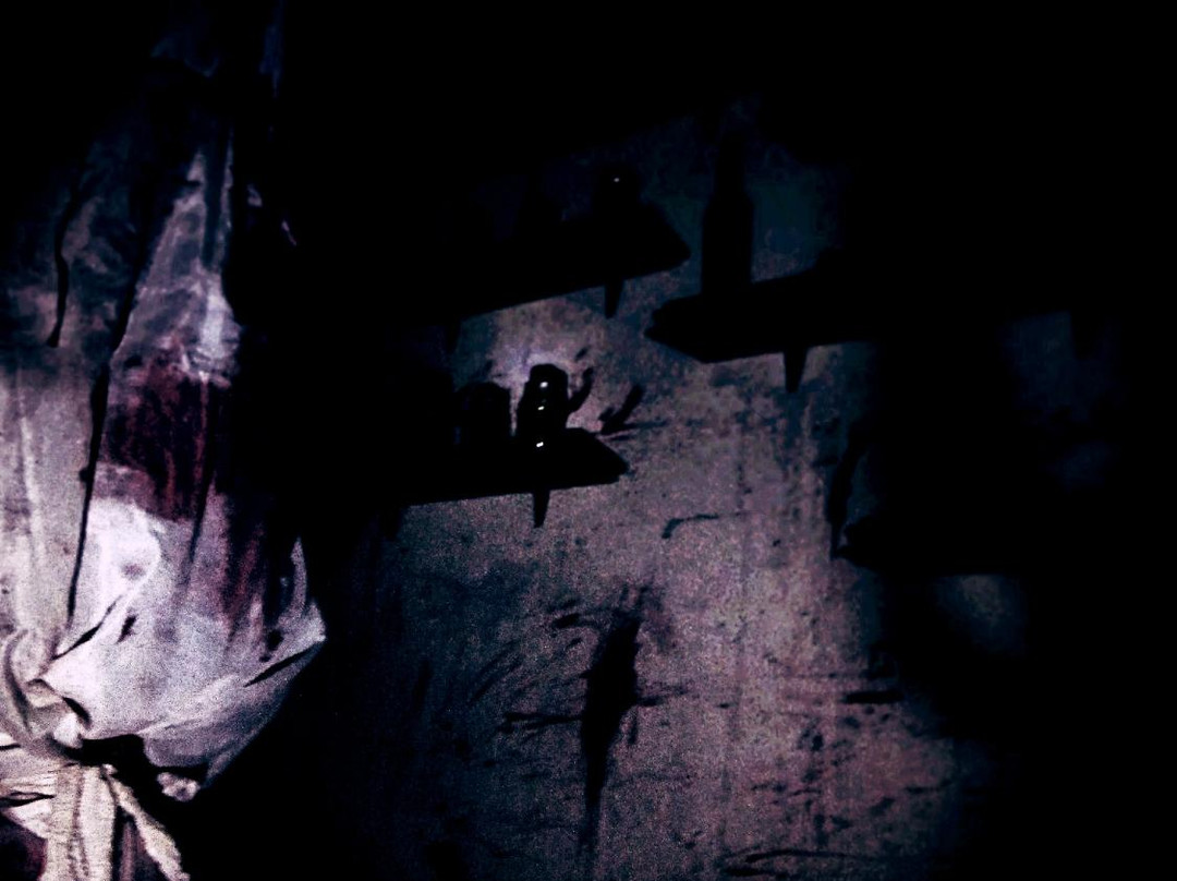 "Asylum" House of Fear-卡托维兹必去景点