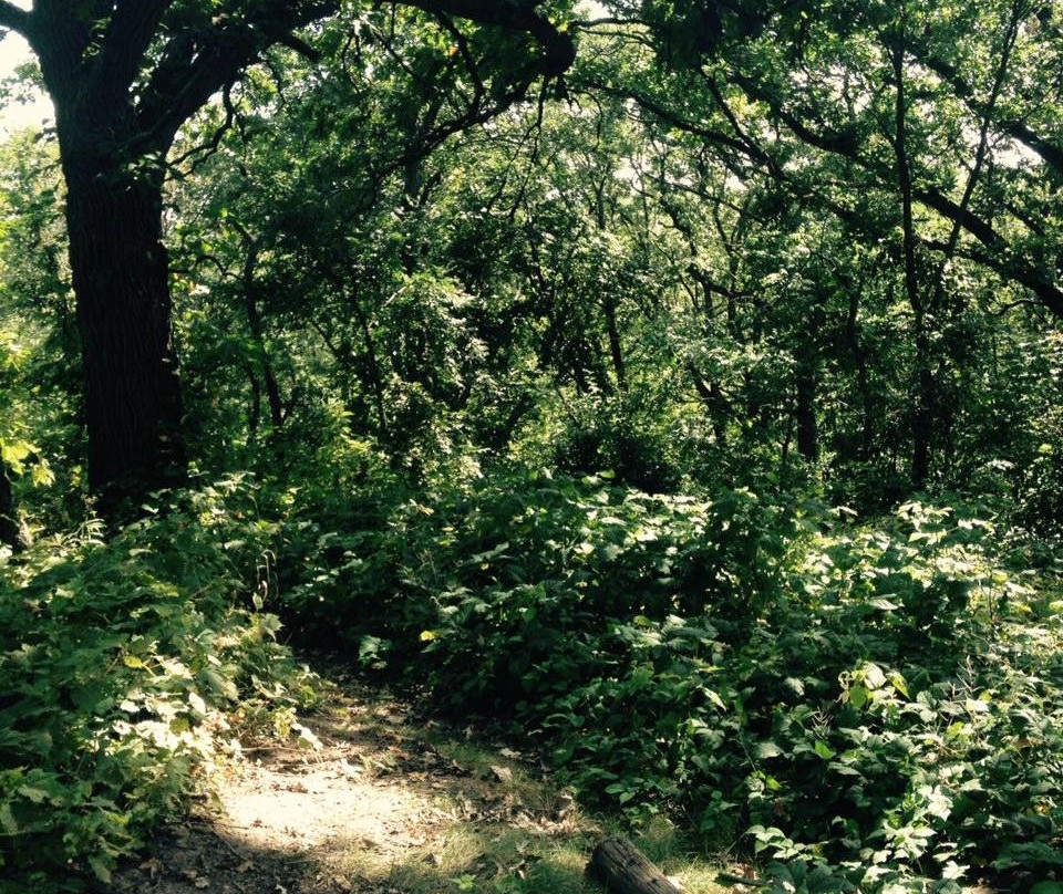 CamRock Trail-Cambridge必去景点