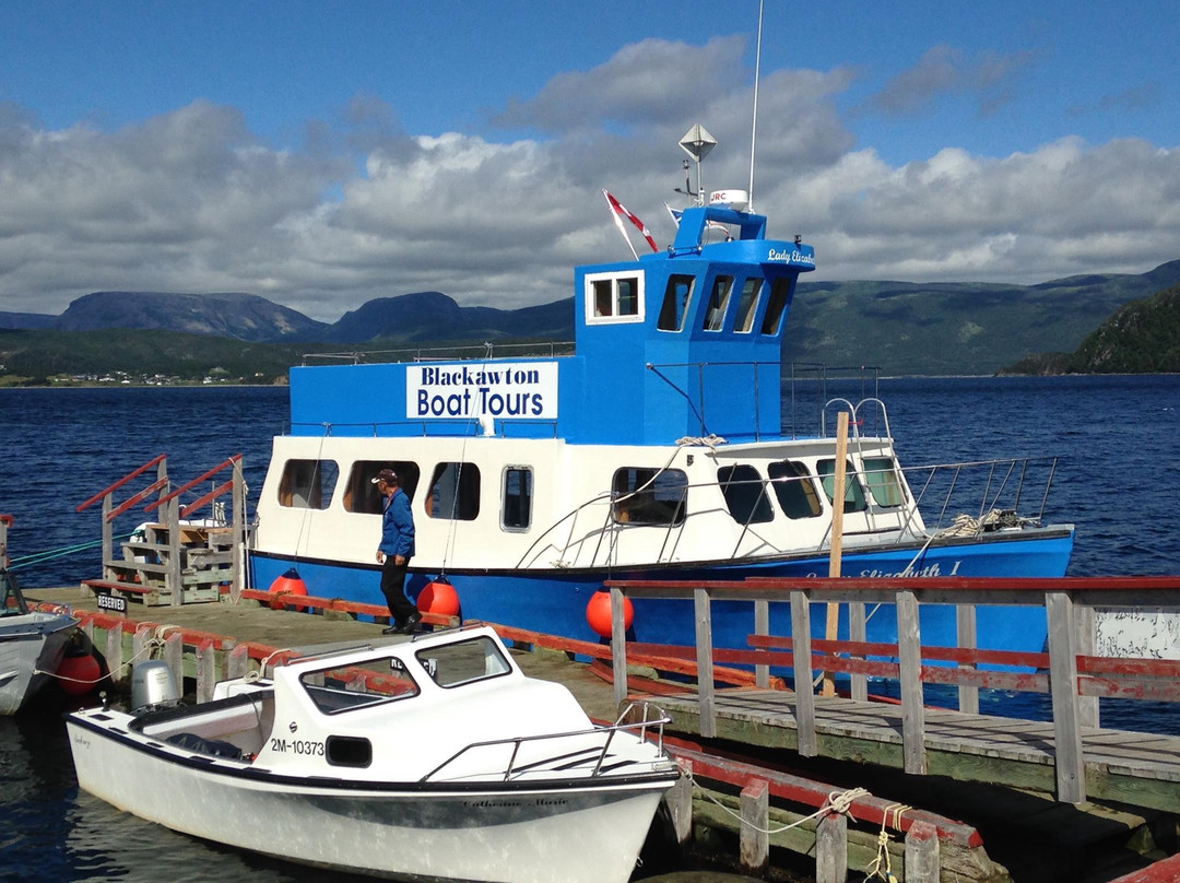 Blackawton Boat Tours-Woody Point必去景点