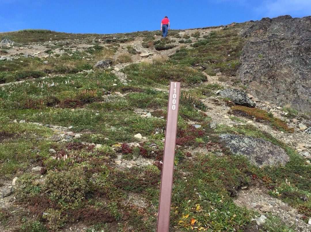 Lazy Mountain-帕尔默必去景点