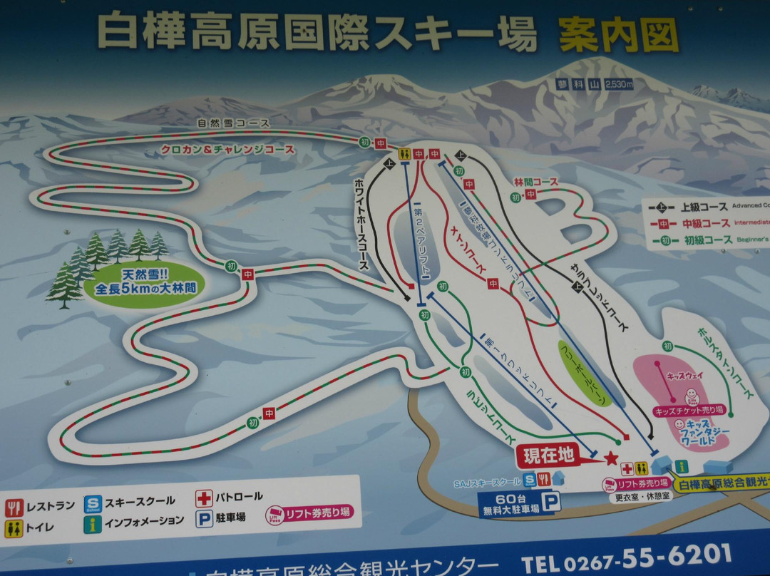 Shirakaba Highland International Ski Area-立科町必去景点