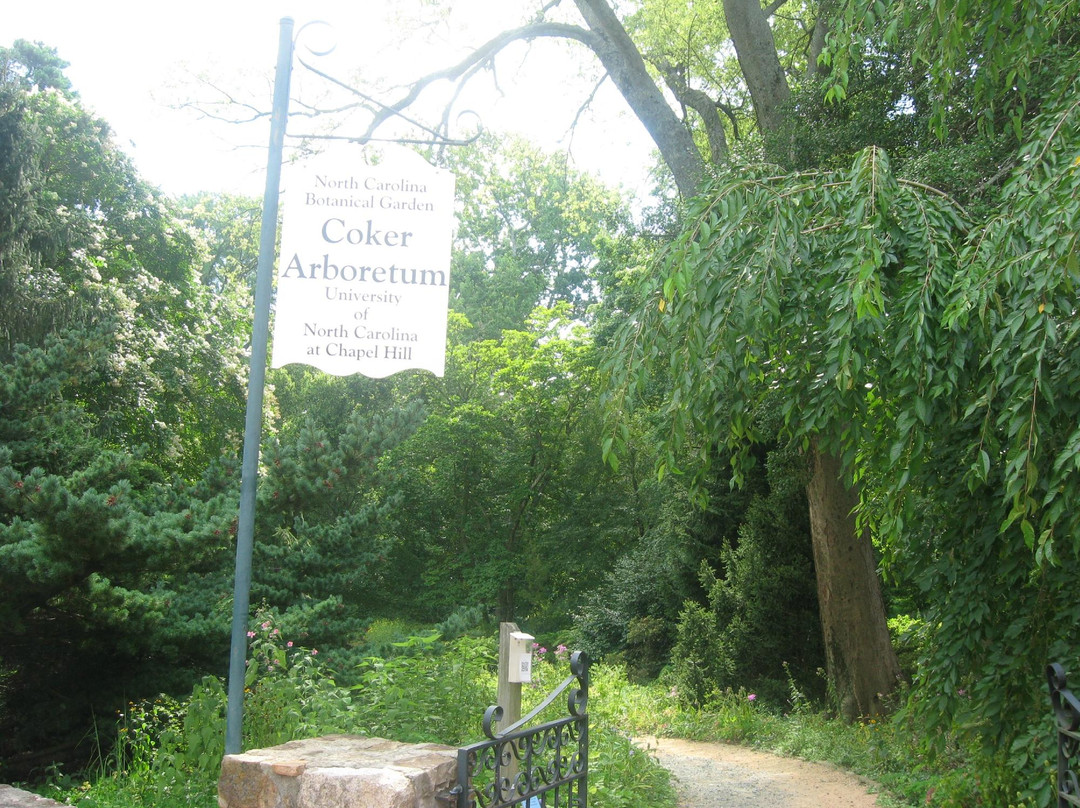 Coker Arboretum-教堂山必去景点