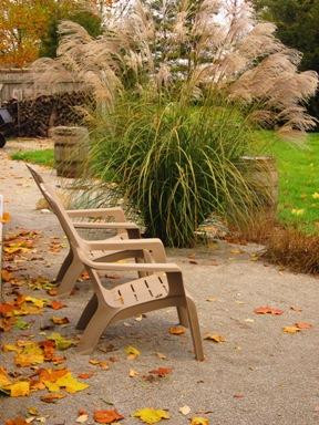 Country Moon Winery-Noblesville必去景点