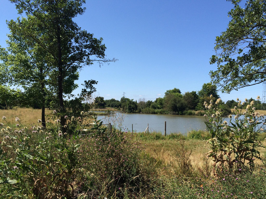 Parc Floral de Bordeaux Lac景点图片