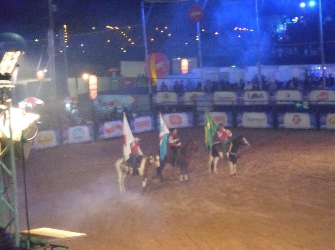 Lavras Rodeo Festival景点图片