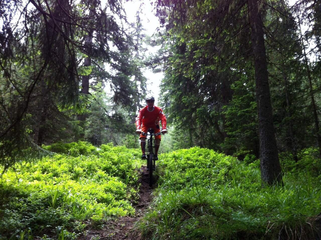 Mountain Masters Borovets - Day Tours-波罗维兹必去景点