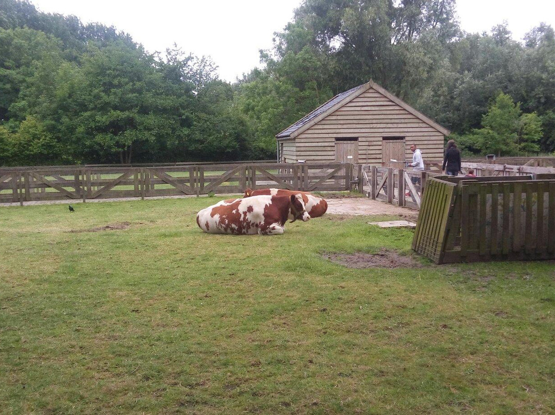 Kinderboerderij de Klepperhoeve-Middelburg必去景点
