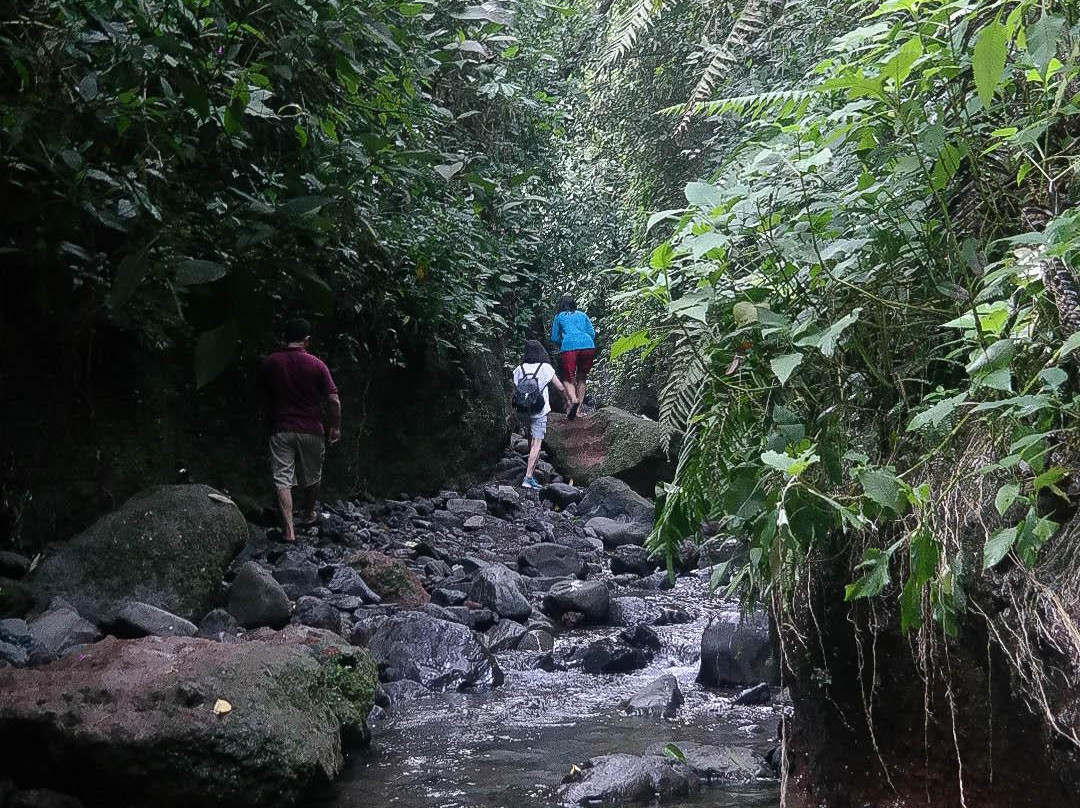 Nangka Waterfall景点图片