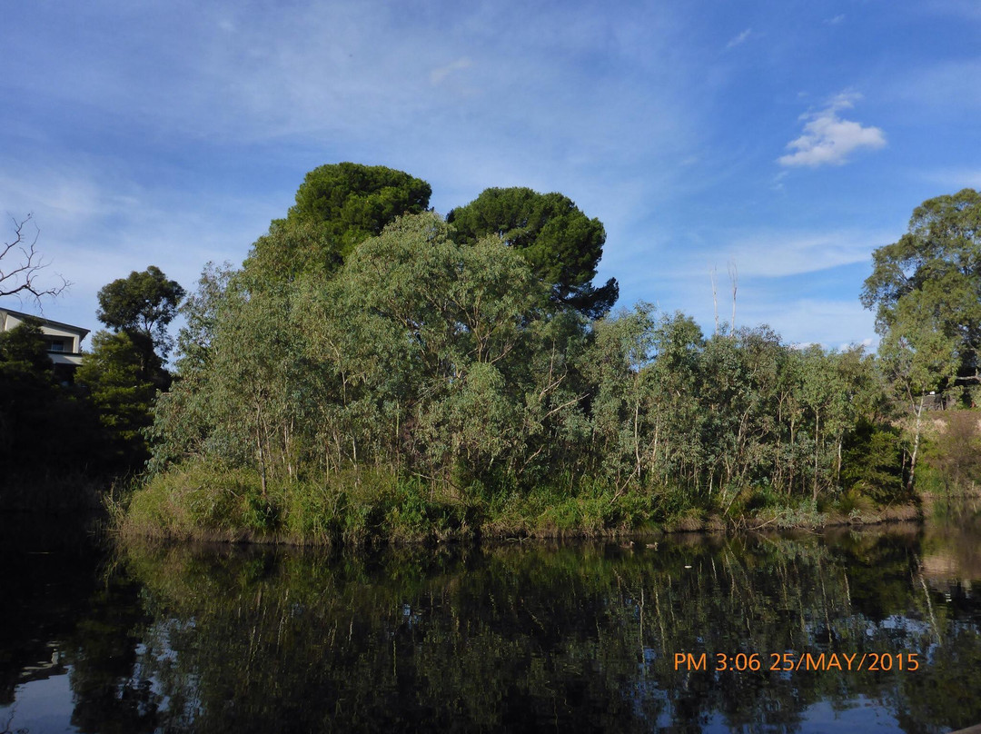Walkerville旅游景点-St Peters Billabong