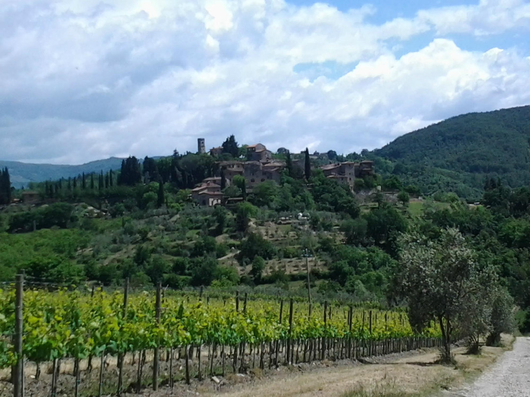 Castello di Montefioralle-格雷韦伊恩基亚恩蒂必去景点