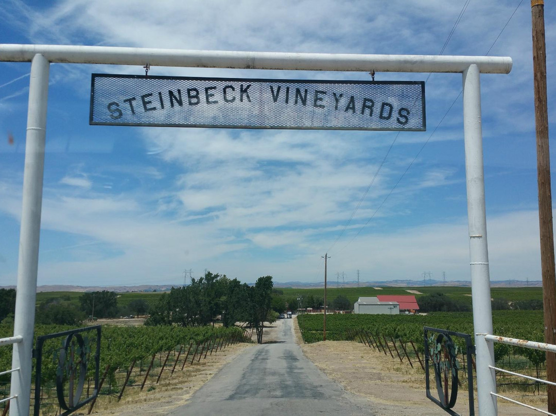 Steinbeck Vineyards & Winery景点图片