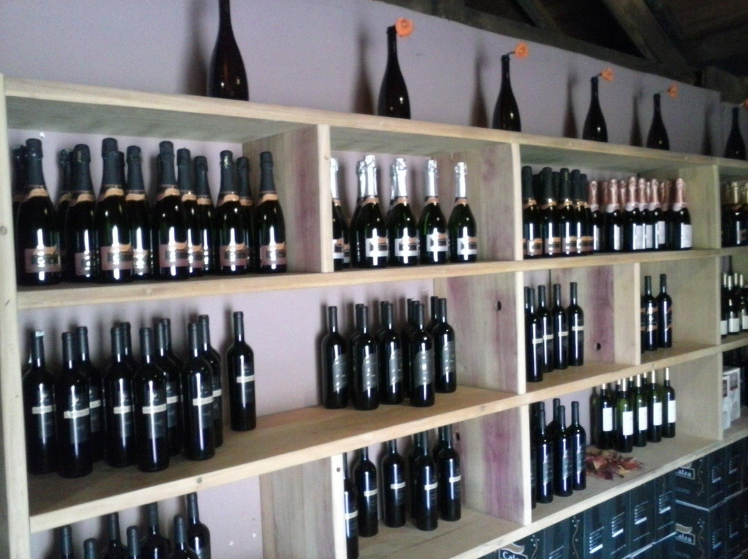 Vinicola Calza-Monte Belo do Sul必去景点