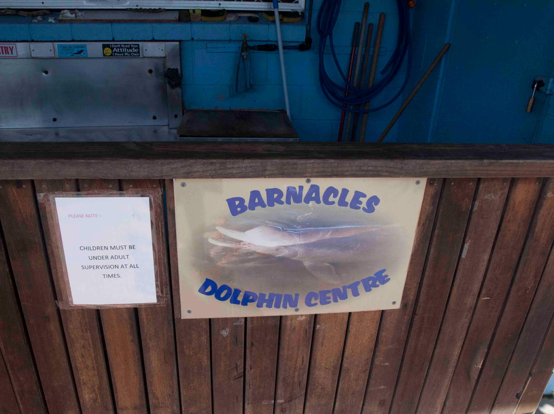 Barnacles Dolphin Centre景点图片