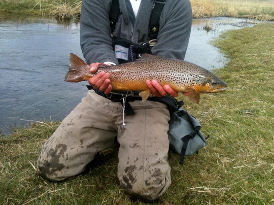 Patagonia Line-纳塔莱斯港必去景点