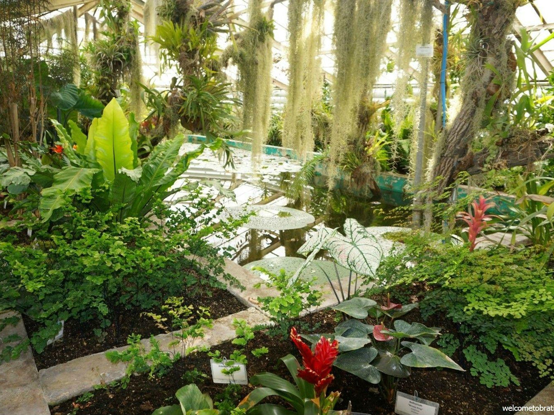 Wolfsthal旅游景点-Botanical Garden
