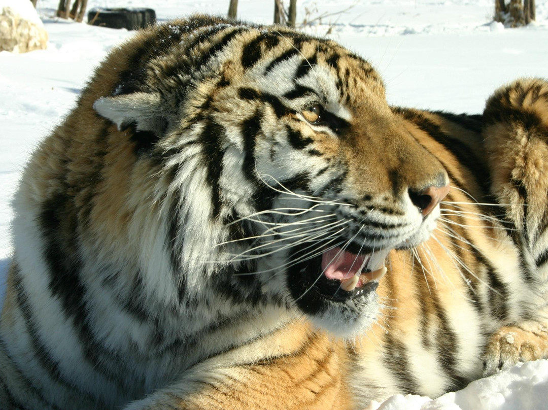 CineZoo-Sainte-Anne-de-la-Rochelle必去景点