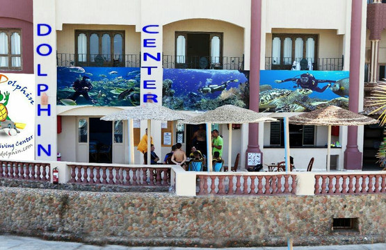 Crazy Dolphin Diving Center-赫尔格达必去景点