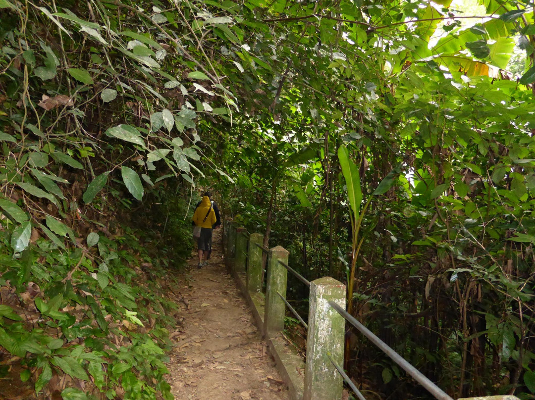 Cuc Phuong National Park Tour - Private Day Tours景点图片