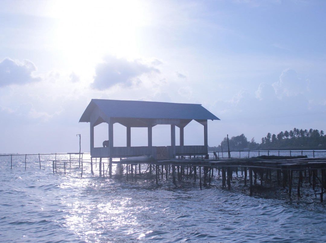 Osi Island-安汶必去景点