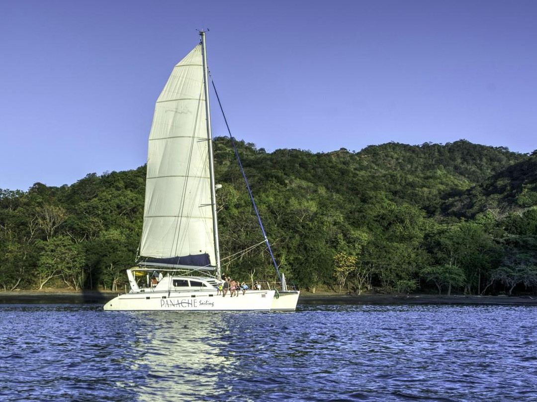 Panache Sailing景点图片