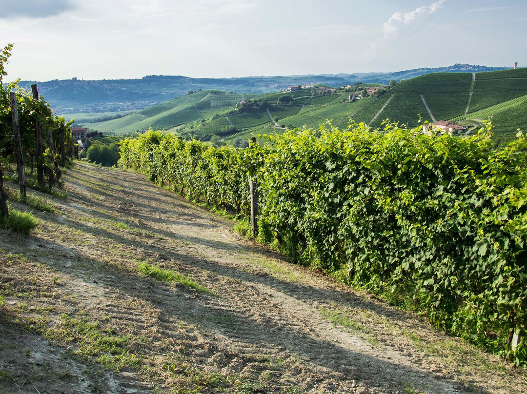 Cascina Bruciata景点图片