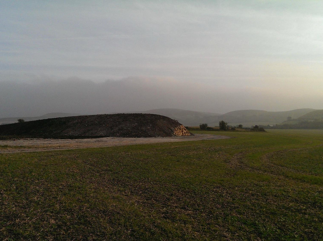 The Long Barrow at All Cannings景点图片
