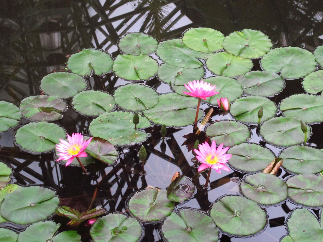 如美地植物园-西归浦市必去景点