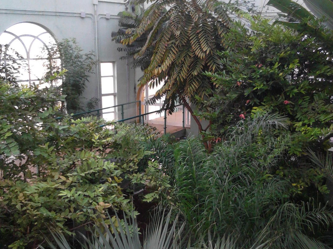 Jardin Botanico de Cordoba-科尔多瓦必去景点