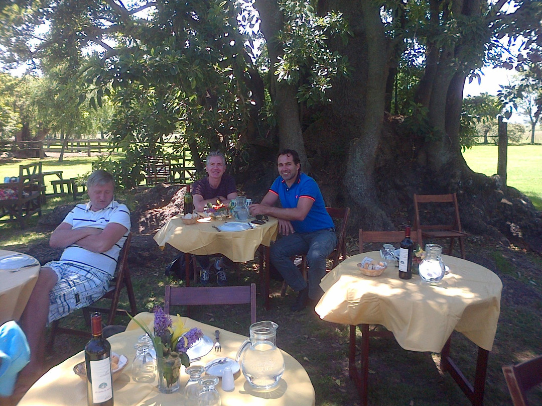 Private Concierge Buenos Aires- Day Trip-布宜诺斯艾利斯必去景点