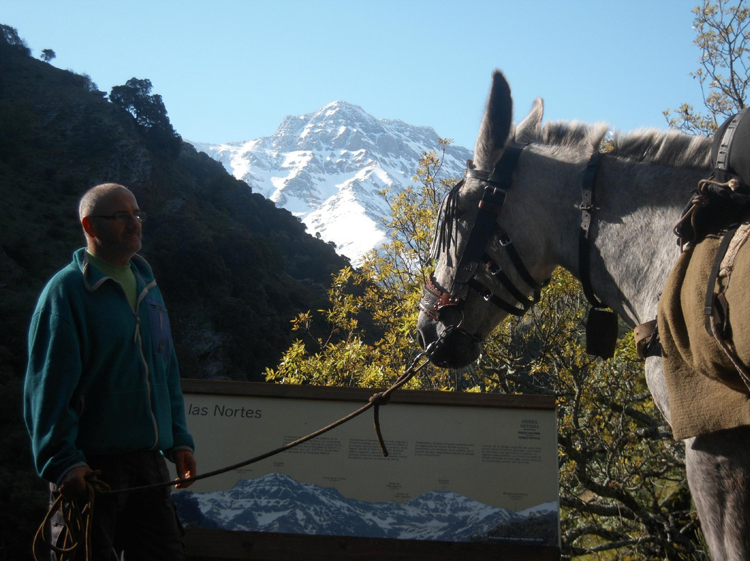 El Arriero Sierra Nevada景点图片