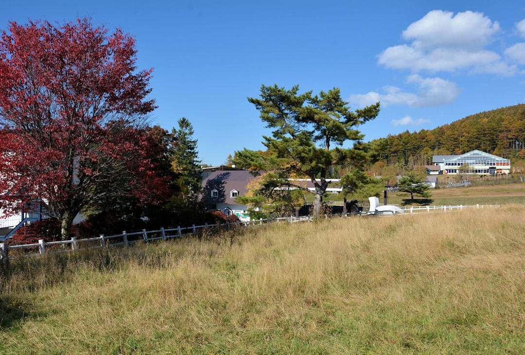 Tateshina Ranch-立科町必去景点