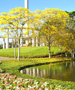 Solo Sagrado De Guarapiranga景点门票图片