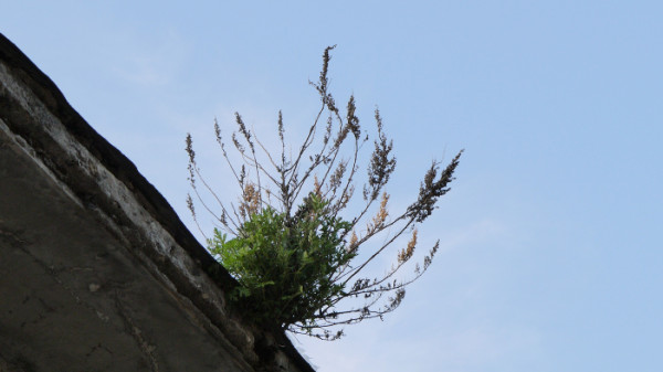 长岛仙境源民俗风情公园-长岛县必去景点