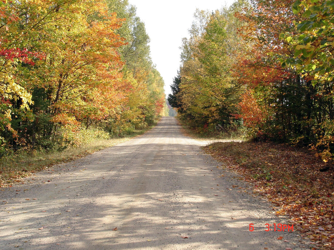 Chickadee Lodge主图