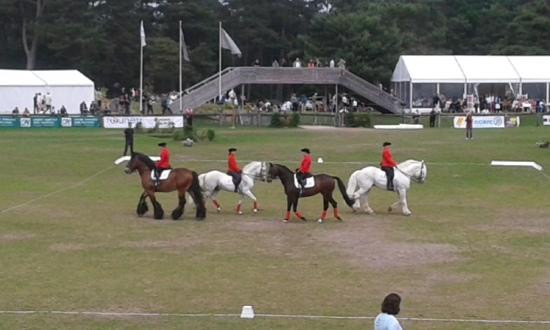 Stade Equestre du Grand Parquet景点图片