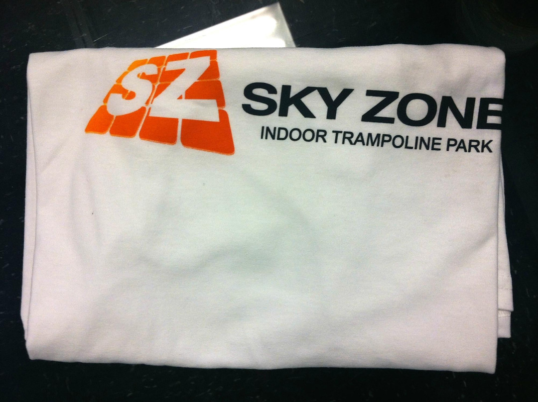 Sky Zone景点图片