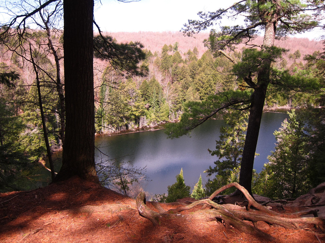 Hemlock Bluff Trail景点图片