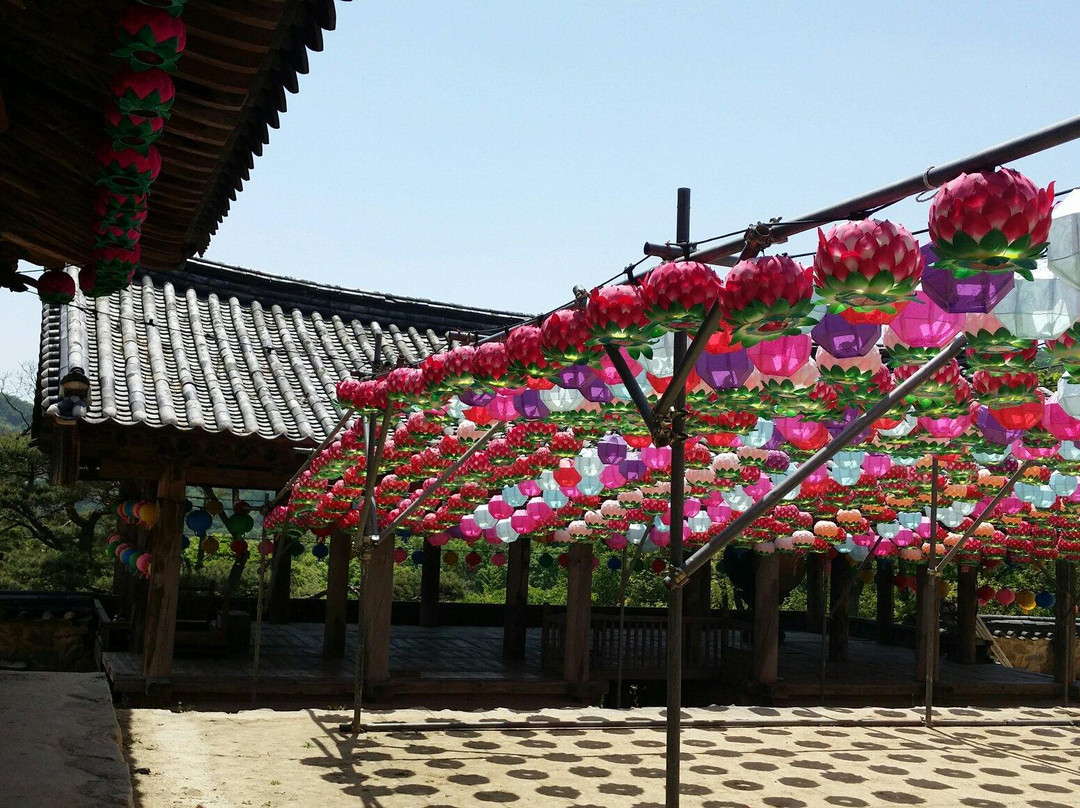 Bongjeongsa Temple-安东市必去景点