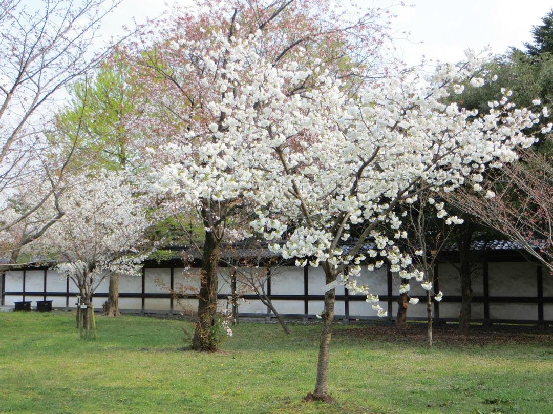 京都御所-京都市必去景点