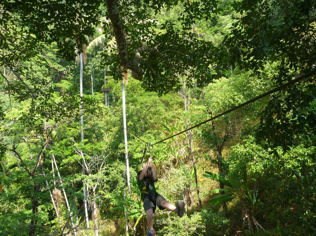 丛林飞梭-卡图必去景点