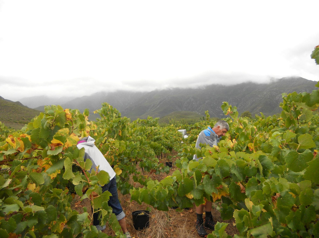 Farmer Redbeard-Ashton必去景点