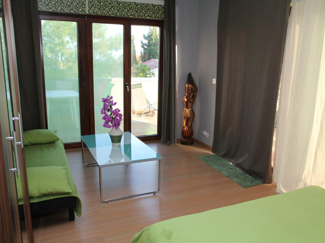 Villa Nataly Premantura主图