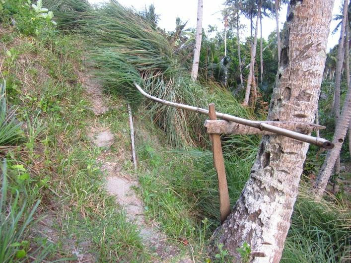 David's Trek-Apo Island必去景点