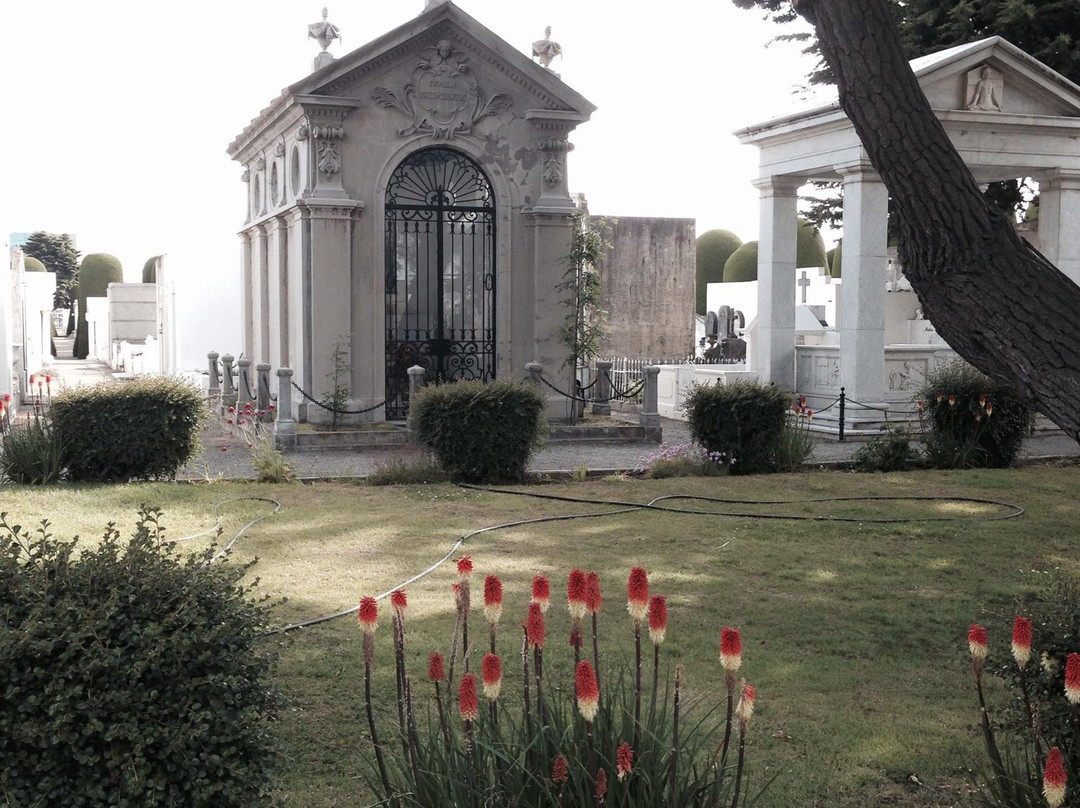 市政公墓-蓬塔阿雷纳斯必去景点