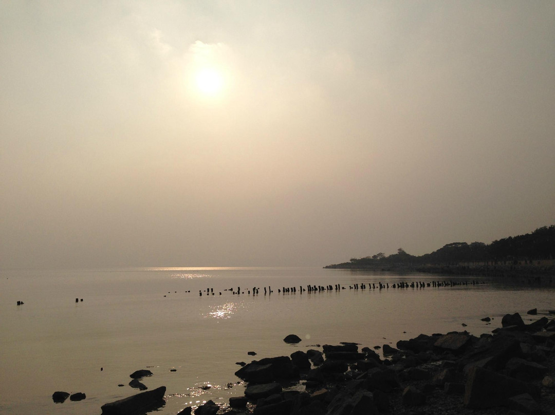 福田红树林自然保护区-深圳市必去景点