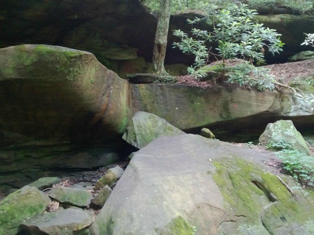 Paintsville Lake State Park-Staffordsville必去景点