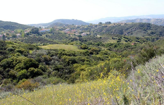 Topanga State Park-洛杉矶必去景点