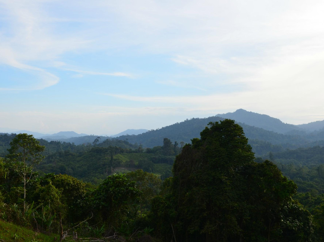 Penan Peace Park Long Kerong-美里必去景点
