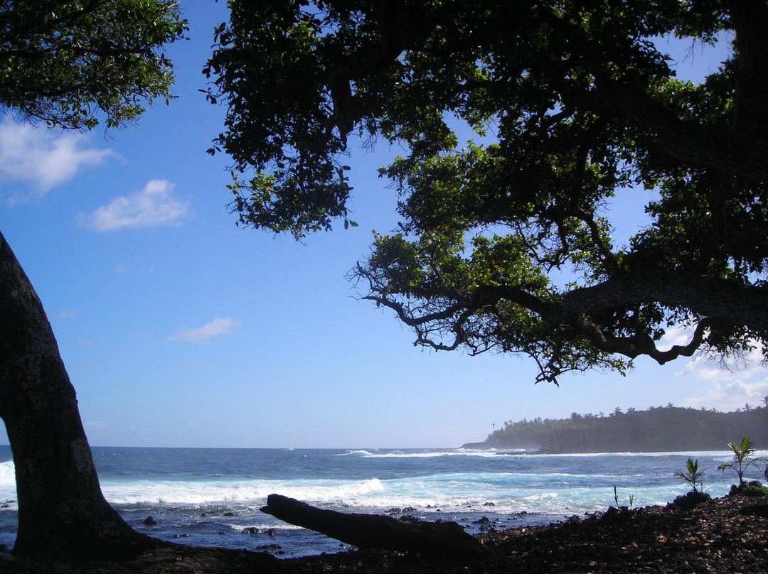 Captain Gene's Lava Boat Tours-帕霍亚必去景点